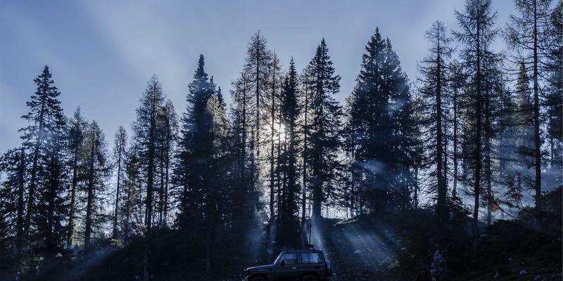 智能驱动未来：人工智能如何重塑IT解决方案中的网络流量分析与优化