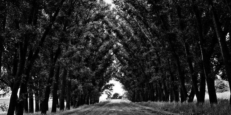 网络即服务：企业如何通过订阅模式实现灵活弹性的网络能力