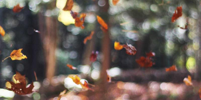 网络技术12:企业服务与系统集成的数字化转型新引擎