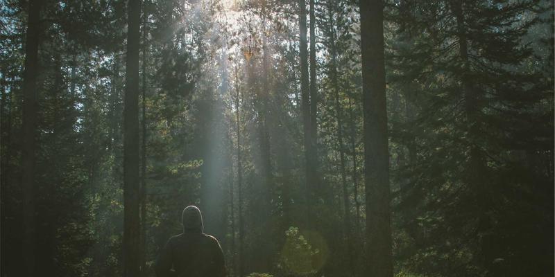 网络技术40：融合、安全与咨询——驱动企业数字化转型的三大支柱