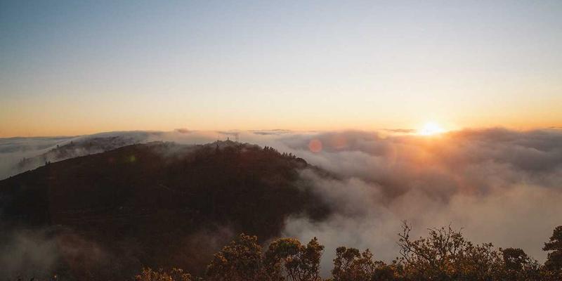 网络技术72：驱动现代企业数字化转型的核心引擎