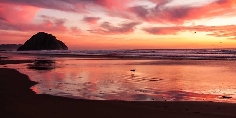 网络技术推荐：构建高效安全数字基石的三大核心选择