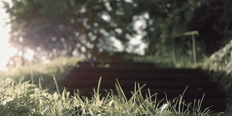 网络自动化与可编程性：基于API和意图的网络管理实践，赋能企业服务与系统集成