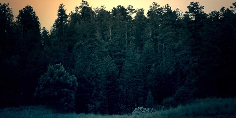 边缘计算与物联网融合：企业级IT解决方案与云服务的新范式